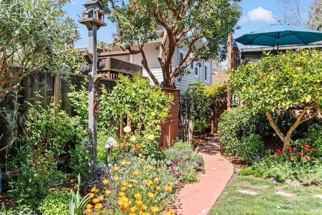 128 Walnut Ave, Mill Valley, CA 94941 - view of yard