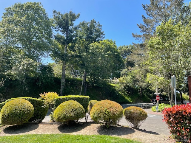 105 Virginia Ave Unit 1, Sebastopol, CA 95472 - view of home's community