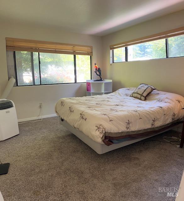 105 Virginia Ave Unit 1, Sebastopol, CA 95472 - bedroom with carpet floors and baseboards