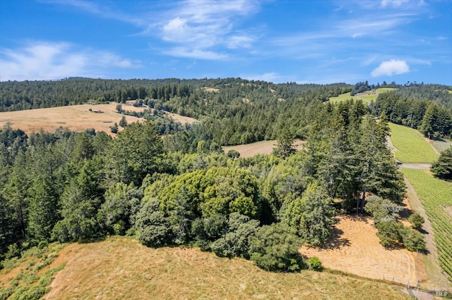 0 S Bodega Hwy, Freestone, CA 95472