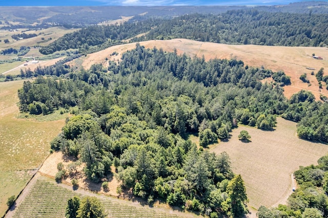 0 S Bodega Hwy, Freestone, CA 95472
