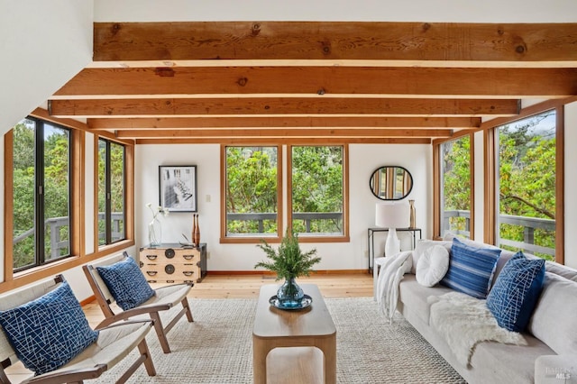 10 Miwok Way, Inverness, CA 94937 - living room featuring light wood finished floors and beamed ceiling