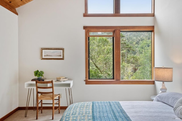 10 Miwok Way, Inverness, CA 94937 - carpeted bedroom with baseboards