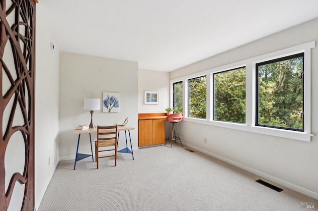10 Miwok Way, Inverness, CA 94937 - home office with light carpet