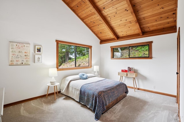 10 Miwok Way, Inverness, CA 94937 - carpeted bedroom with wood ceiling