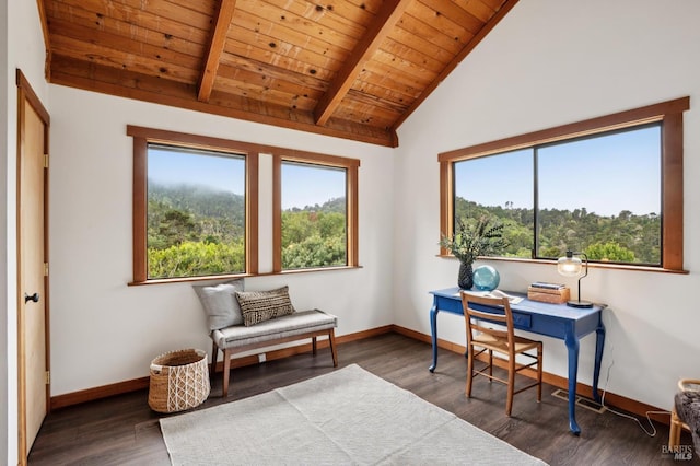10 Miwok Way, Inverness, CA 94937 - office space featuring wooden ceiling and wood finished floors