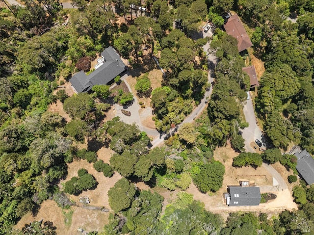 10 Miwok Way, Inverness, CA 94937 - aerial view of property's location