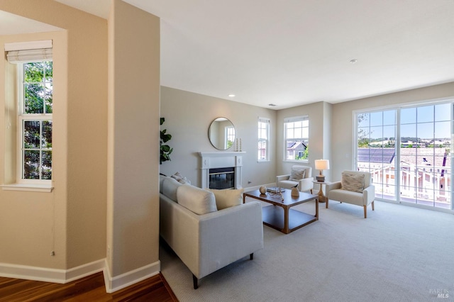339 Sterling Way, San Rafael, CA 94903 - living room with a glass covered fireplace and recessed lighting