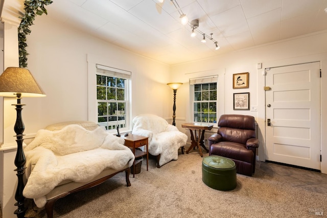9748 Middle Creek Rd, Upper Lake, CA 95485 - living area featuring track lighting