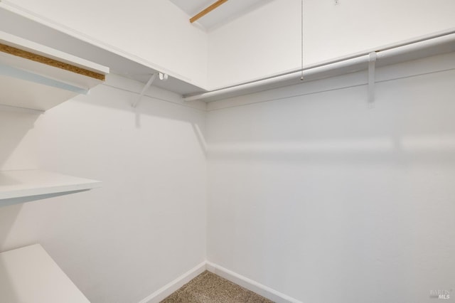 900 Southampton Rd Unit 123, Benicia, CA 94510 - walk in closet with carpet floors