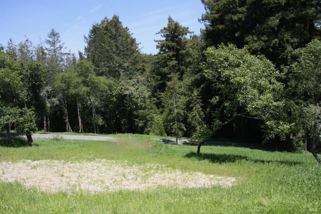 10966 Barnett Valley Rd, Sebastopol, CA 95472