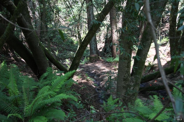 10966 Barnett Valley Rd, Sebastopol, CA 95472