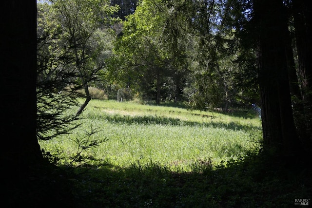 10966 Barnett Valley Rd, Sebastopol, CA 95472