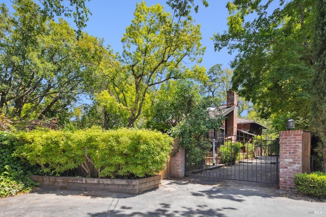 7 Shanley Ln, Ross, CA 94957 - view of gate