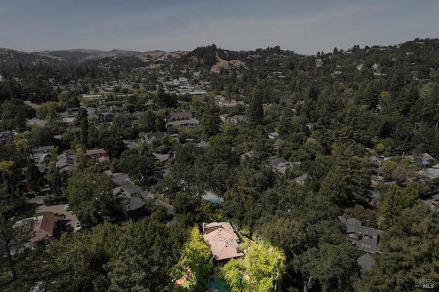 7 Shanley Ln, Ross, CA 94957 - view of property location with mountains and a heavily wooded area