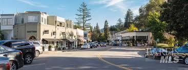 7 Shanley Ln, Ross, CA 94957 - view of asphalt road