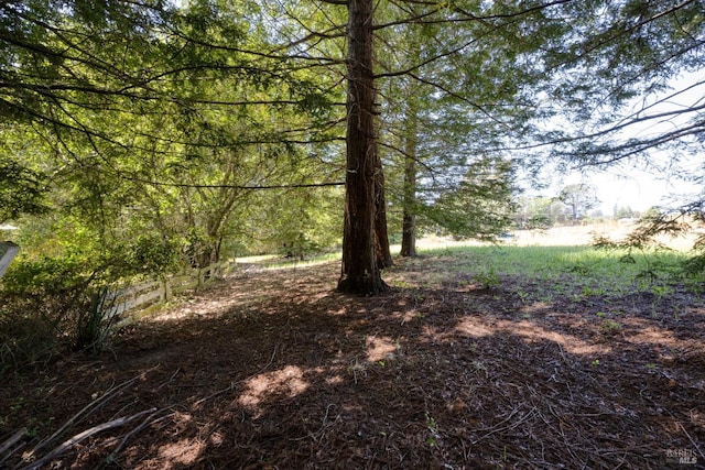 1415 Schaeffer Rd, Sebastopol, CA 95472 - view of local wilderness