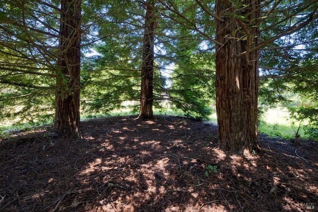 1415 Schaeffer Rd, Sebastopol, CA 95472 - view of local wilderness