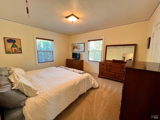 436 S Front St, Rio Vista, CA 94571 - bedroom with light colored carpet