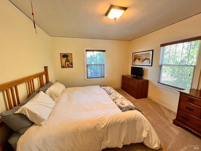 436 S Front St, Rio Vista, CA 94571 - view of carpeted bedroom