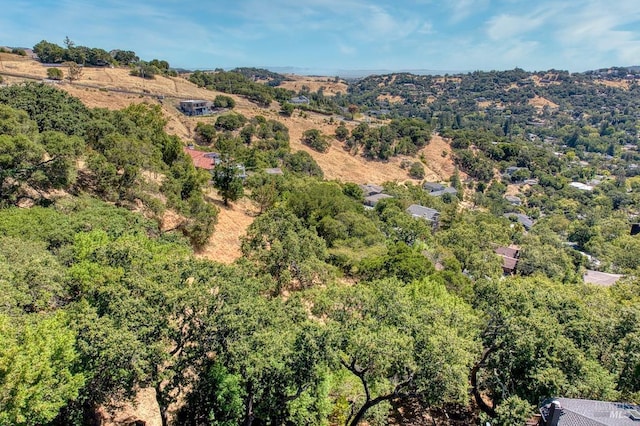 76 Oak Springs Dr, San Anselmo, CA 94960 - aerial view