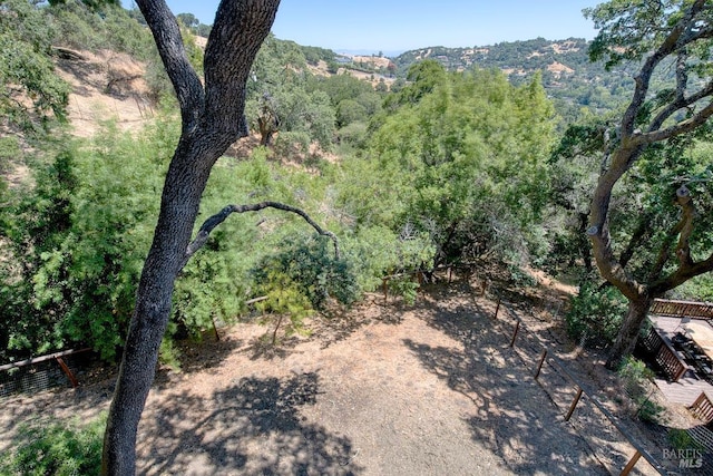 76 Oak Springs Dr, San Anselmo, CA 94960 - view of tree filled area