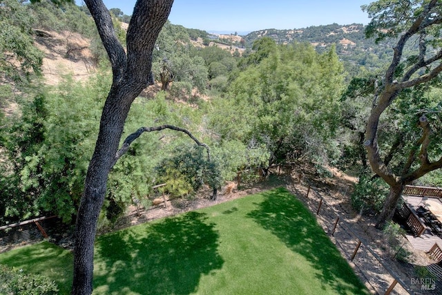 76 Oak Springs Dr, San Anselmo, CA 94960 - view of grassy yard featuring a view of trees