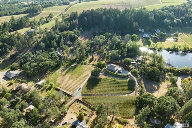 875 White Cottage Rd N, Angwin, CA 94508 - aerial view of property's location featuring abundant farmland and rural landscape