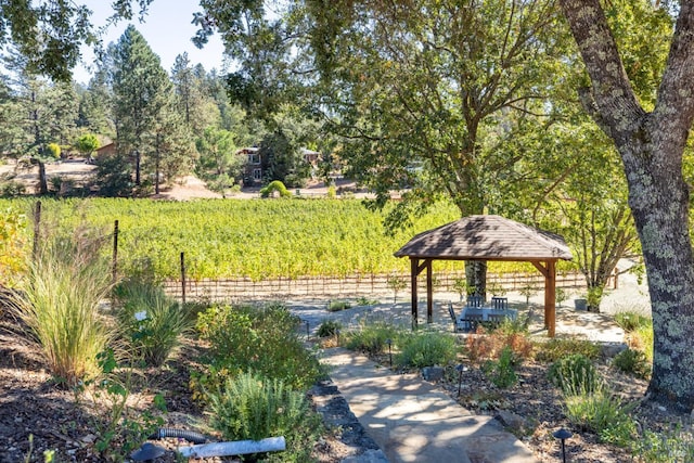 875 White Cottage Rd N, Angwin, CA 94508 - surrounding community with a gazebo