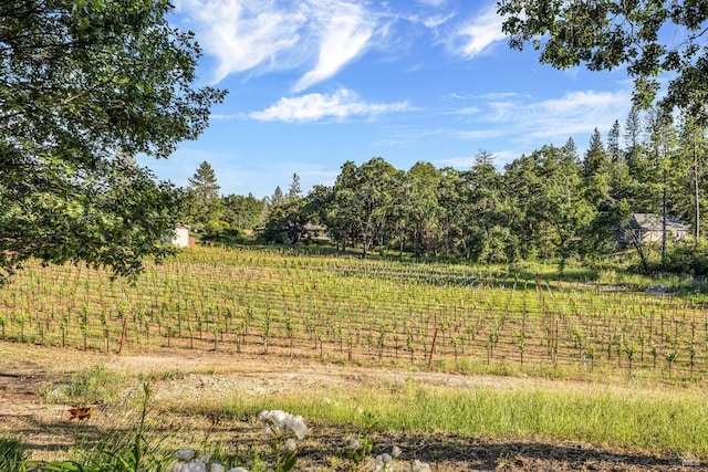 875 White Cottage Rd N, Angwin, CA 94508 - view of local wilderness with rural landscape