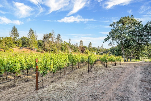 875 White Cottage Rd N, Angwin, CA 94508 - view of road featuring a view of rural / pastoral area and agricultural plots