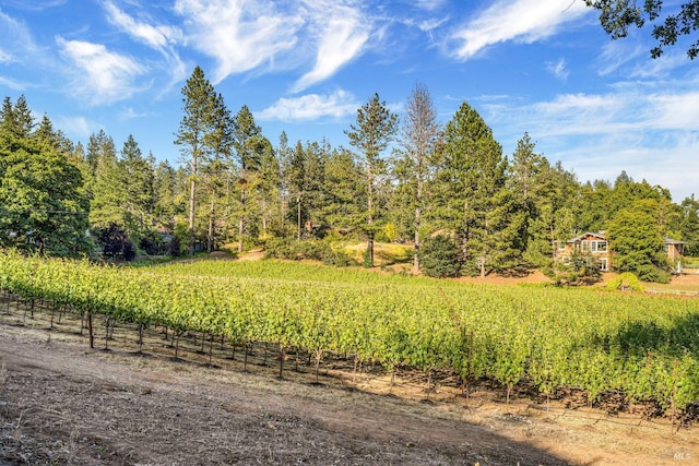 875 White Cottage Rd N, Angwin, CA 94508 - view of local wilderness with rural landscape