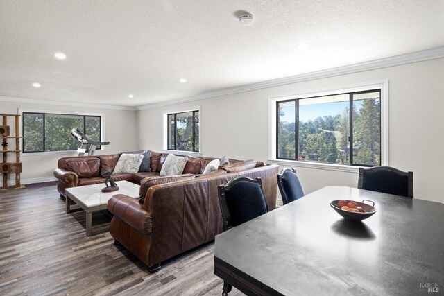 875 White Cottage Rd N, Angwin, CA 94508 - living room with wood finished floors, ornamental molding, and recessed lighting