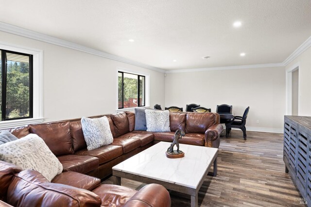 875 White Cottage Rd N, Angwin, CA 94508 - living room with wood finished floors, ornamental molding, and recessed lighting