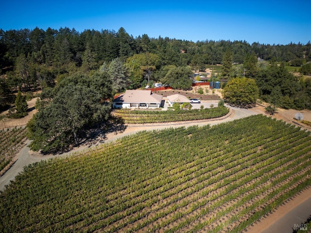875 White Cottage Rd N, Angwin, CA 94508 - view of rural area featuring large plots for crops and a forest