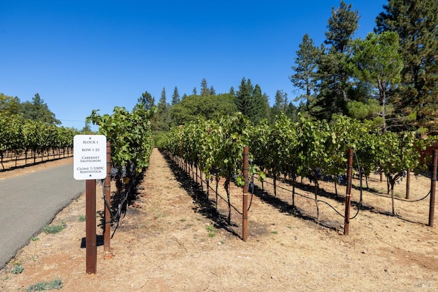 875 White Cottage Rd N, Angwin, CA 94508 - view of road with agricultural area and a view of countryside