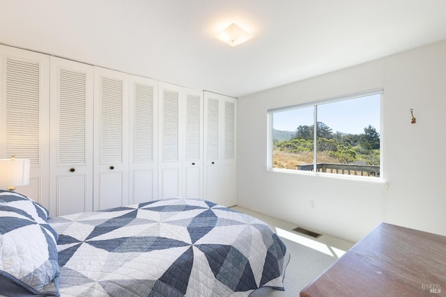 359 Terra Verde, Bodega Bay, CA 94923 - carpeted bedroom with a closet