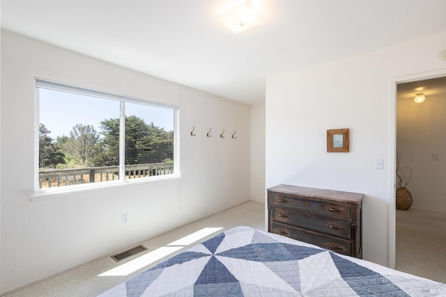 359 Terra Verde, Bodega Bay, CA 94923 - view of carpeted bedroom
