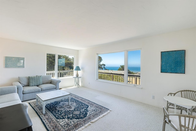 359 Terra Verde, Bodega Bay, CA 94923 - view of carpeted living room