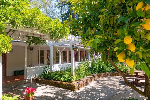 1300 Ink Grade Rd, Pope Valley, CA 94567 - view of patio / terrace featuring a pergola