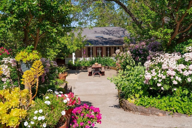 1300 Ink Grade Rd, Pope Valley, CA 94567 - view of home's community with a patio area