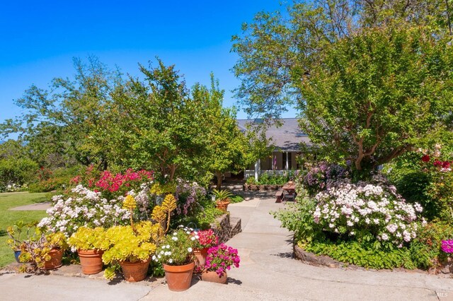 1300 Ink Grade Rd, Pope Valley, CA 94567 - view of home's community