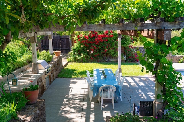 1300 Ink Grade Rd, Pope Valley, CA 94567 - fenced backyard with outdoor dining area, a patio, area for grilling, and a pergola