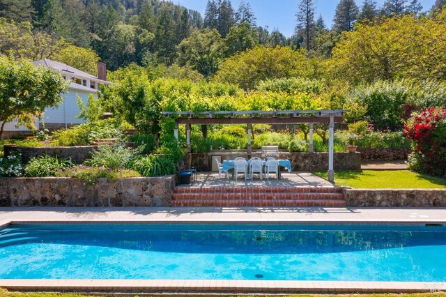 1300 Ink Grade Rd, Pope Valley, CA 94567 - swimming pool with area for grilling and a view of trees