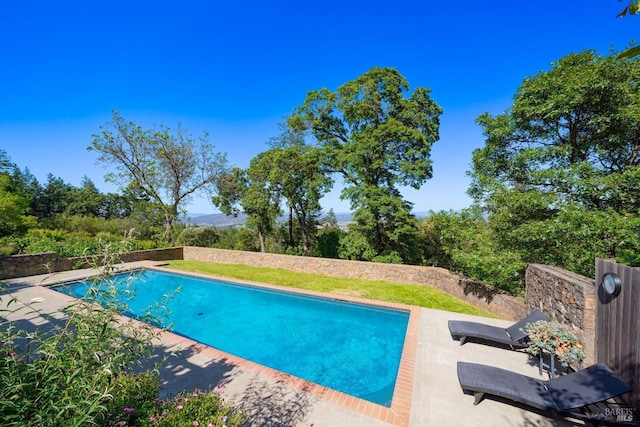 1300 Ink Grade Rd, Pope Valley, CA 94567 - swimming pool with a patio