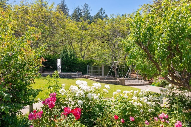1300 Ink Grade Rd, Pope Valley, CA 94567 - view of green lawn with a playground