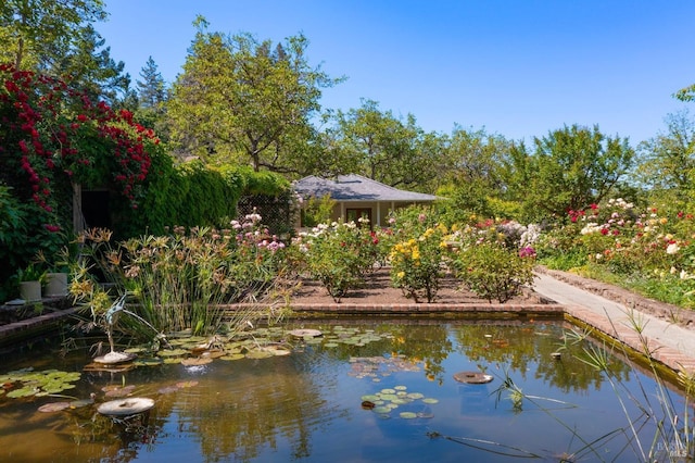 1300 Ink Grade Rd, Pope Valley, CA 94567 - water view