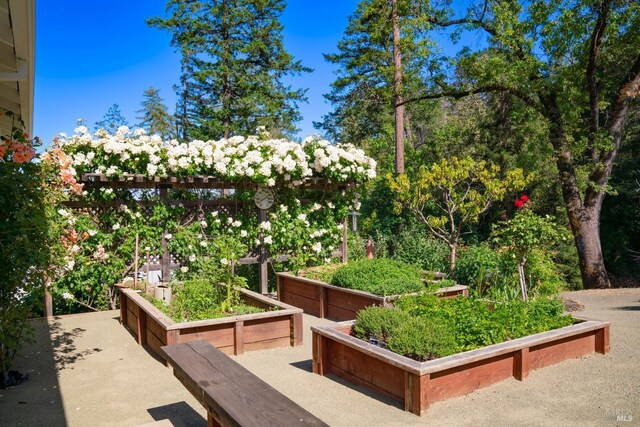 1300 Ink Grade Rd, Pope Valley, CA 94567 - view of patio / terrace featuring a garden