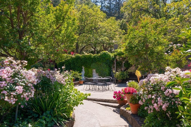 1300 Ink Grade Rd, Pope Valley, CA 94567 - surrounding community with a patio