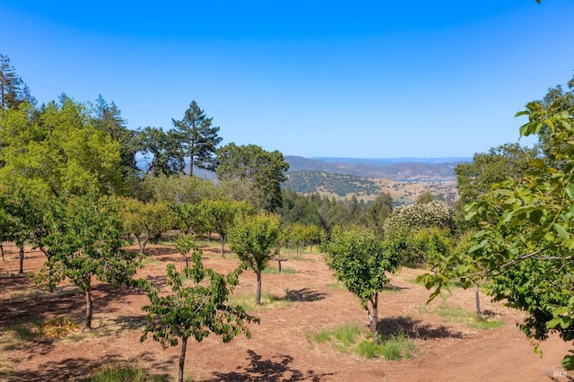 1300 Ink Grade Rd, Pope Valley, CA 94567 - mountain view featuring rural landscape
